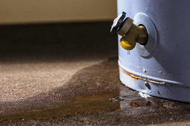 Best Fire Damage Restoration  in Northport, AL