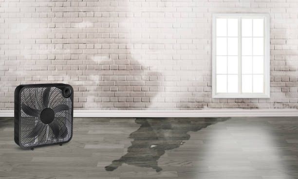 Local water damage restoration in Northport, AL
