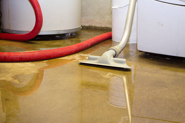 Best Emergency water damage restoration  in Northport, AL