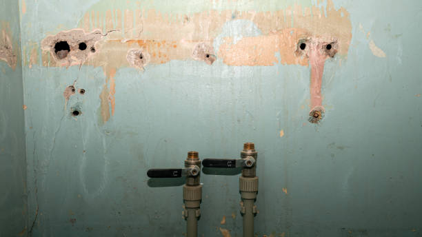 Best Ceiling water damage repair  in Northport, AL
